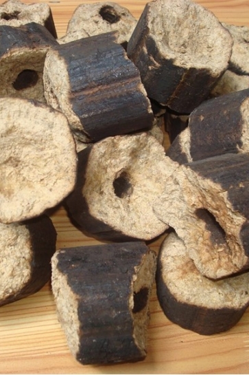 CỦI TRẤU ĐẬP