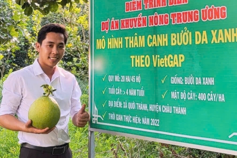 BƯỞI DA XANH TIN TỨC