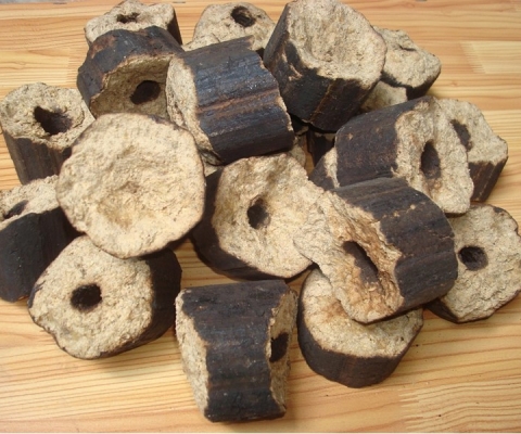 CỦI TRẤU ĐẬP