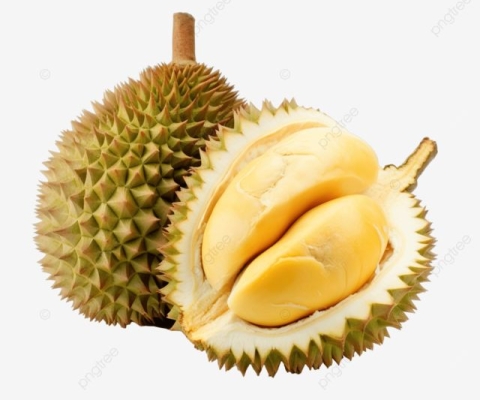 SẦU RIÊNG